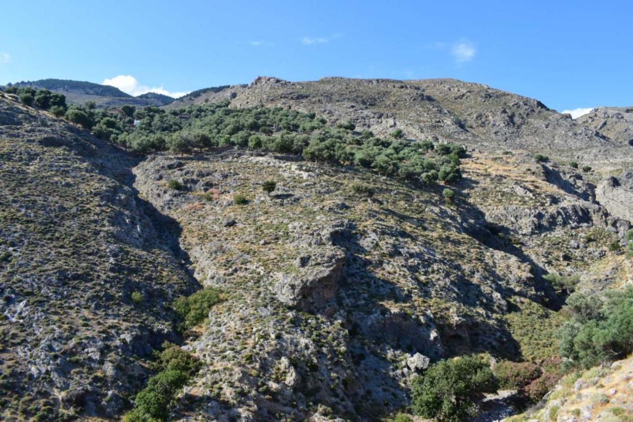 Mesohori Studios Sfakia Exterior foto