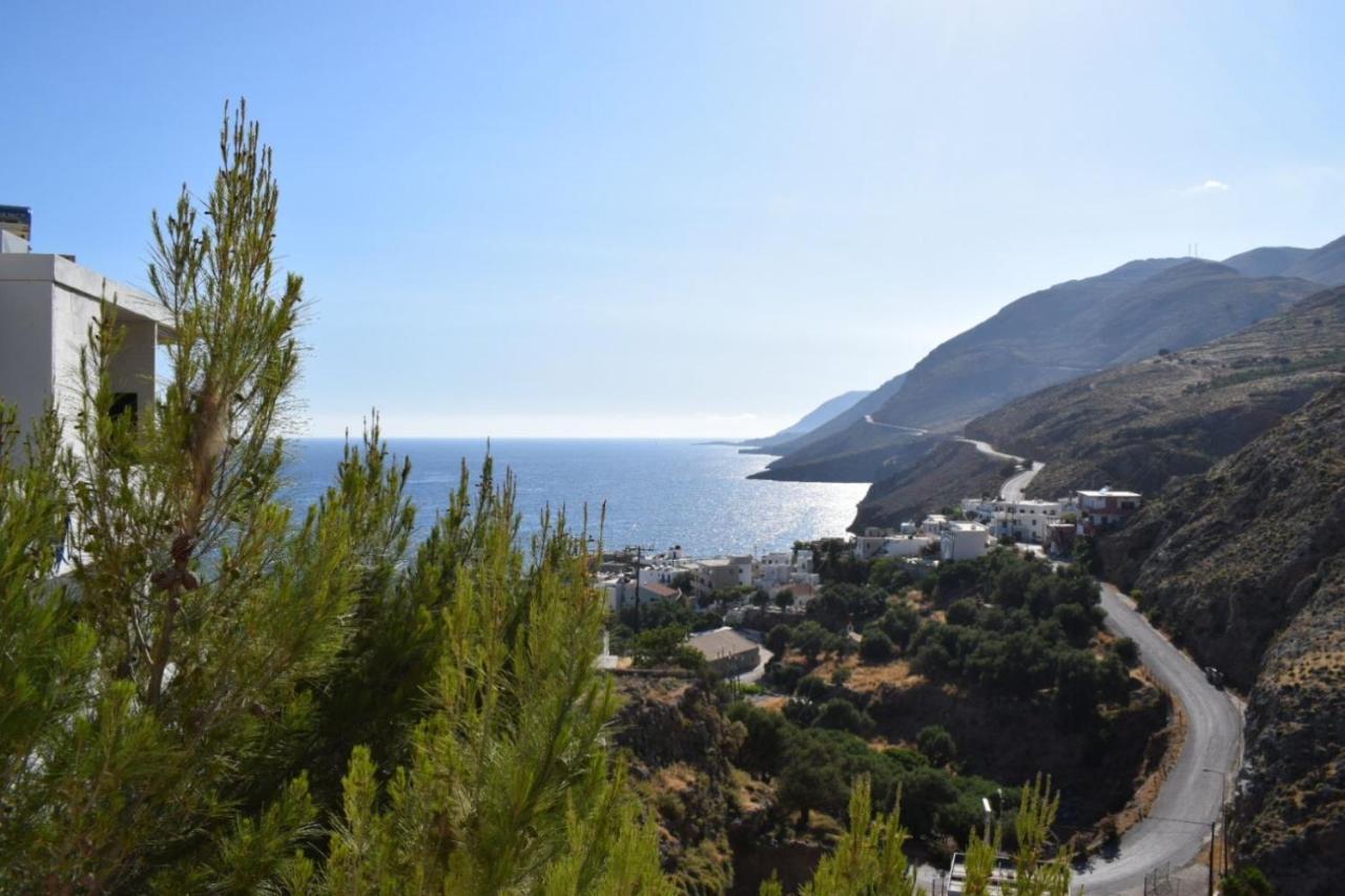 Mesohori Studios Sfakia Exterior foto